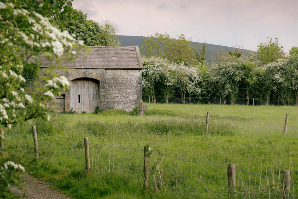 building regulations