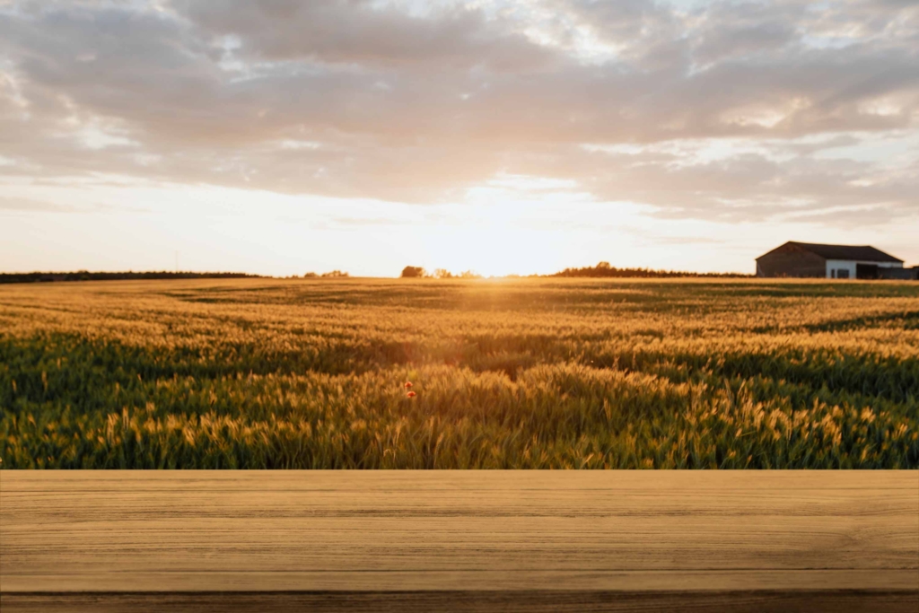 Nature product backdrop, farm and sunlight building regulations