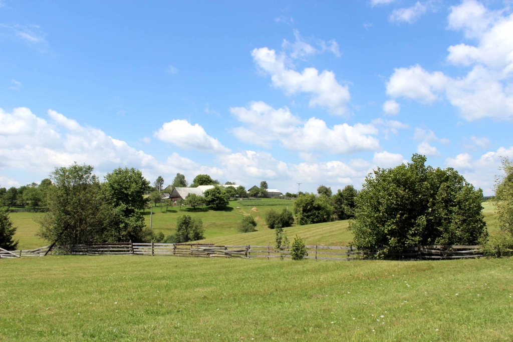 trees-growing-grassy-field-against-sky copy permitted development